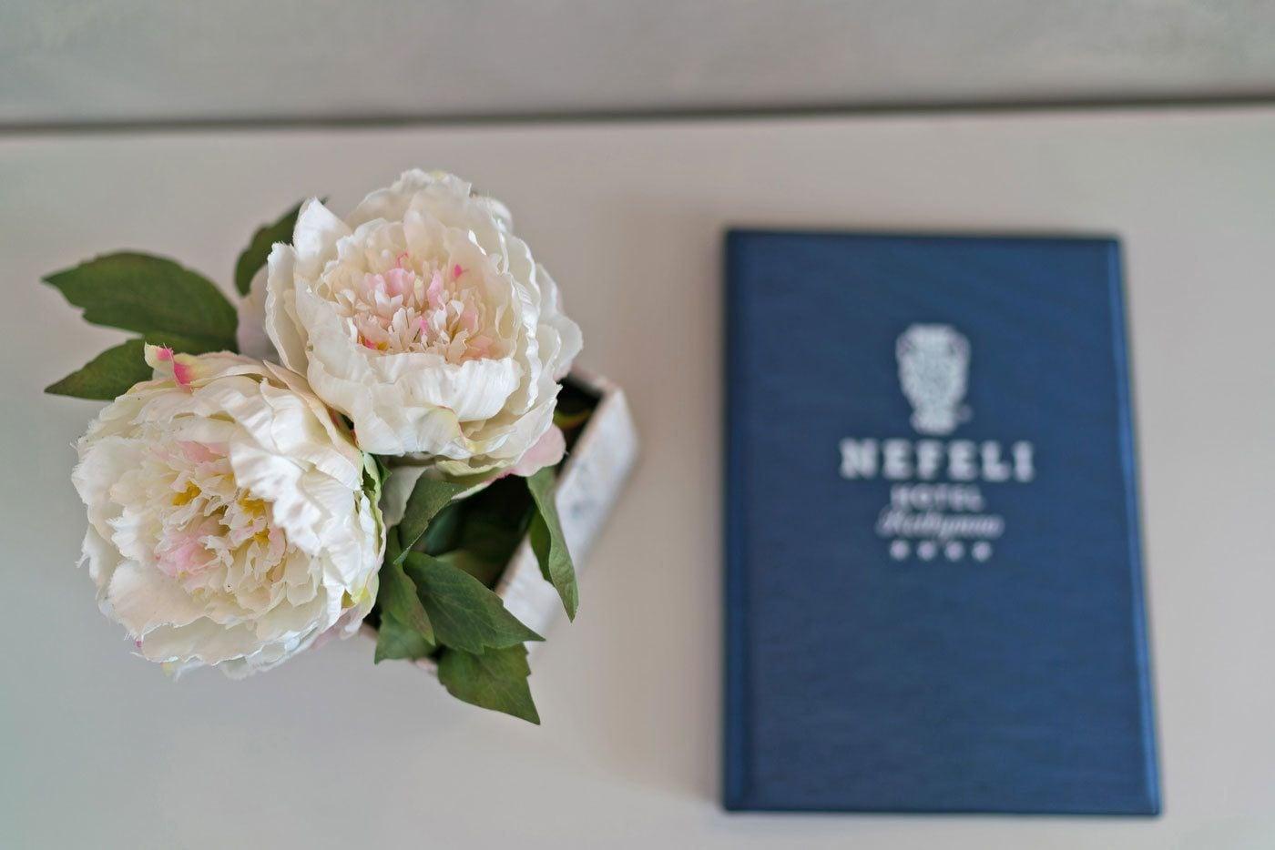 Nefeli Hotel Платанес Экстерьер фото